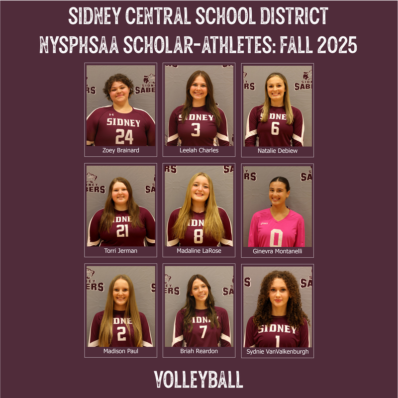 volleyball scholar athletes