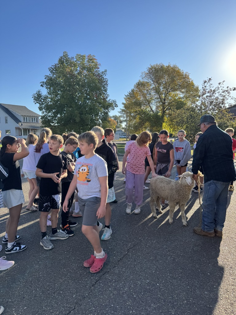 5th graders with sheep