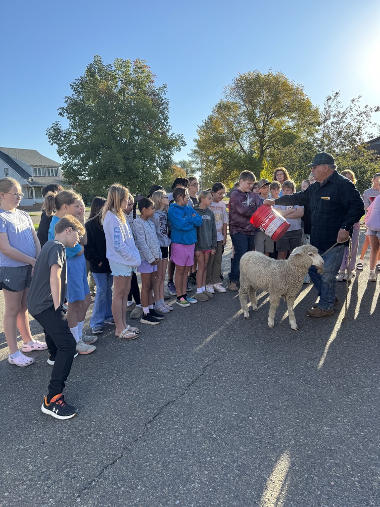 5th graders with sheep