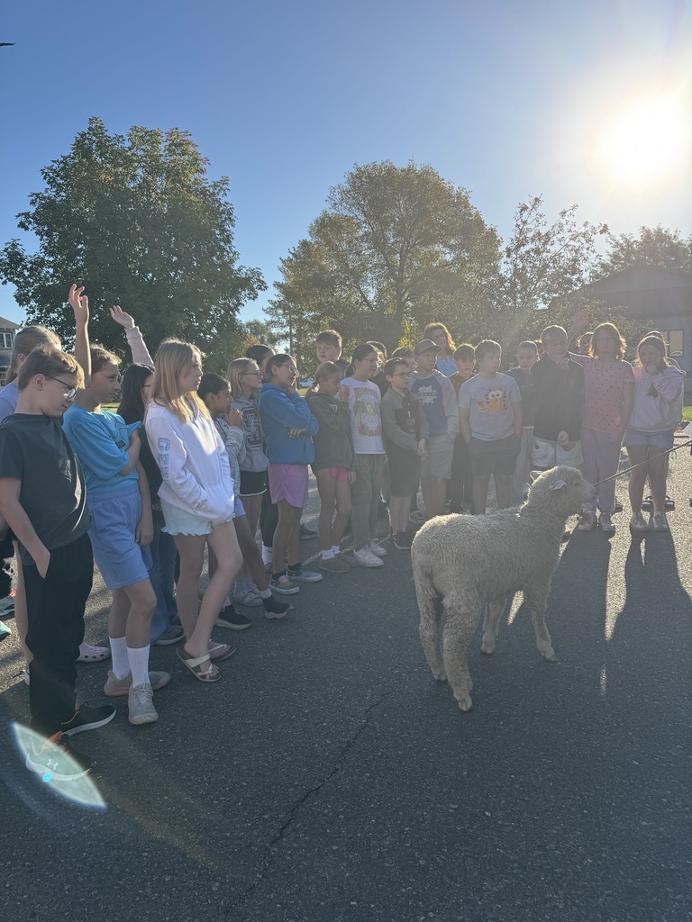 5th graders with sheep