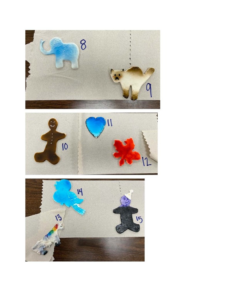 Culinary 1 Fondant Projects