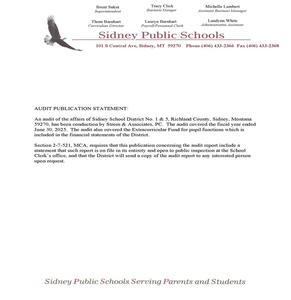 Audit Publication Statement