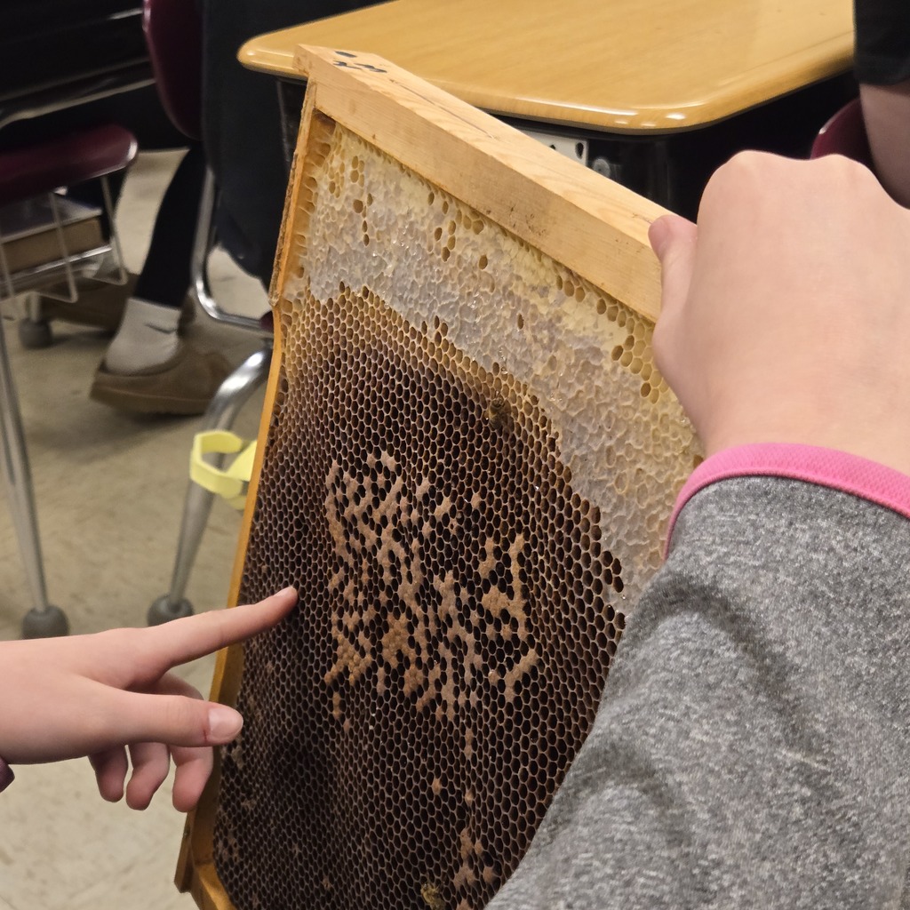 Dave Moore shared all about bees with 5th graders