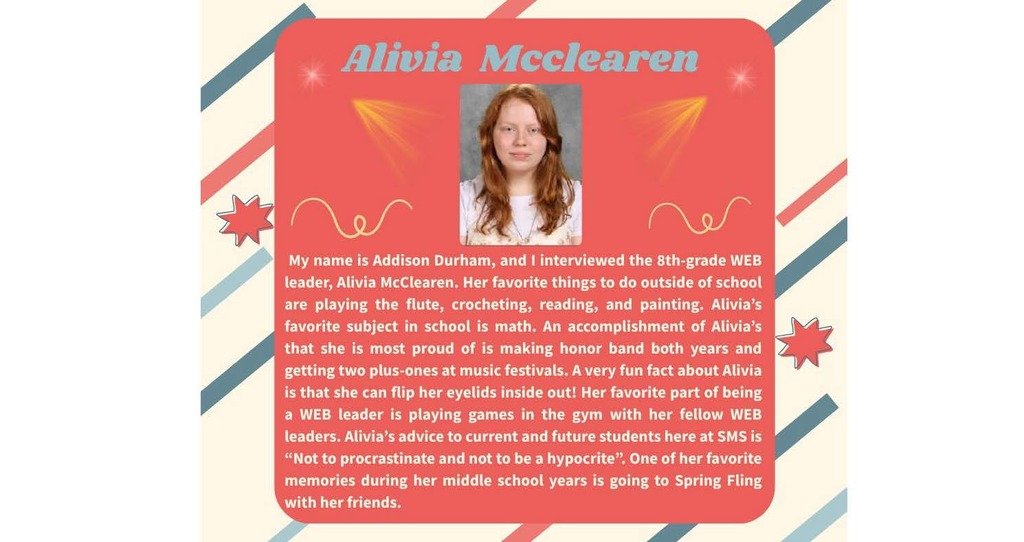 SMS  WEB Leaders interviews
