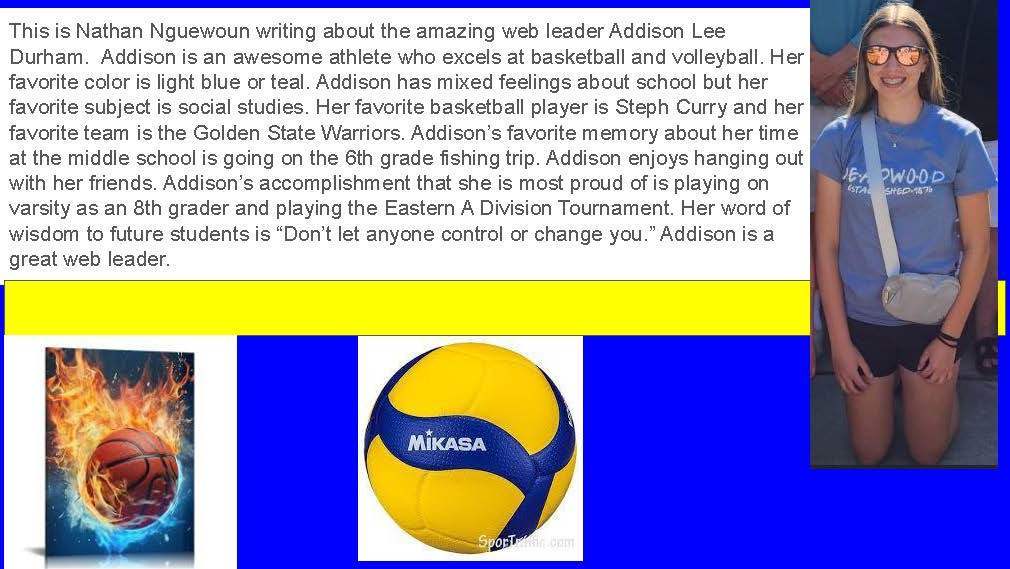 MS WEB Leaders