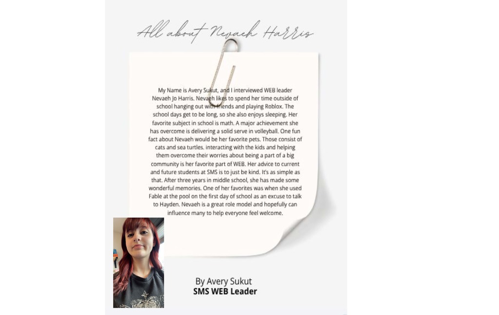 MS WEB Leaders