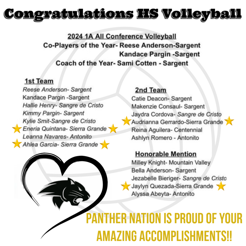 2024 HS Volleyball All Conference Selections