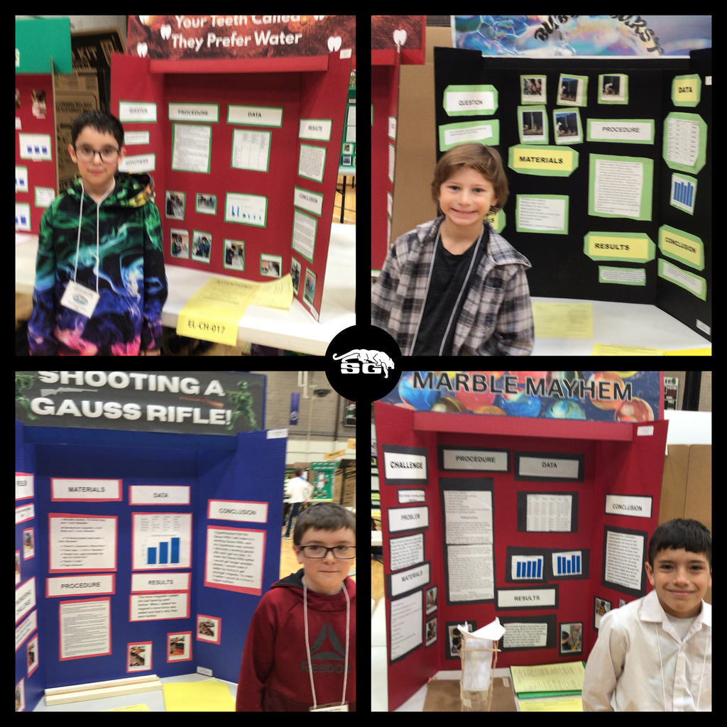 Science Fair