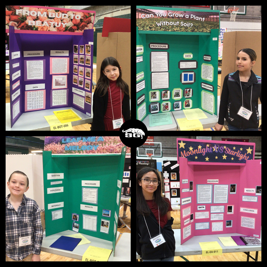 Science Fair