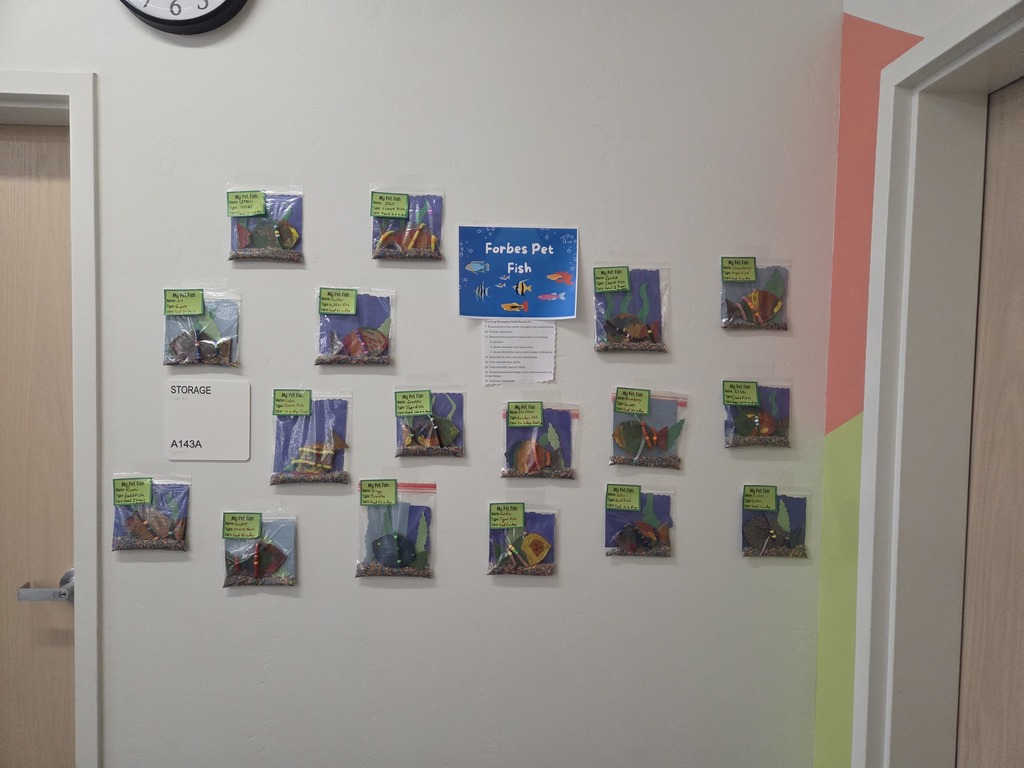 Panther Project Showcase 5