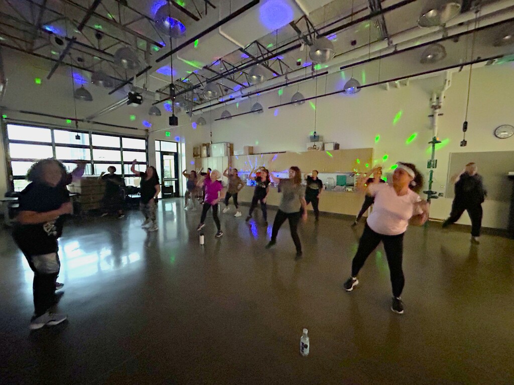 health & wellness fair, zumba