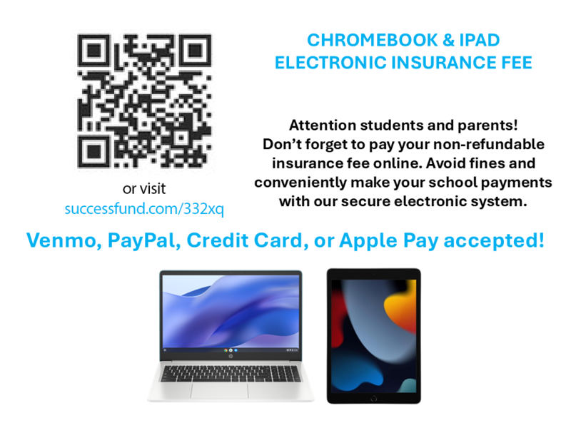 Online Payment