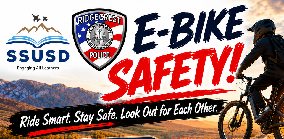 E-Bike Safety Poster