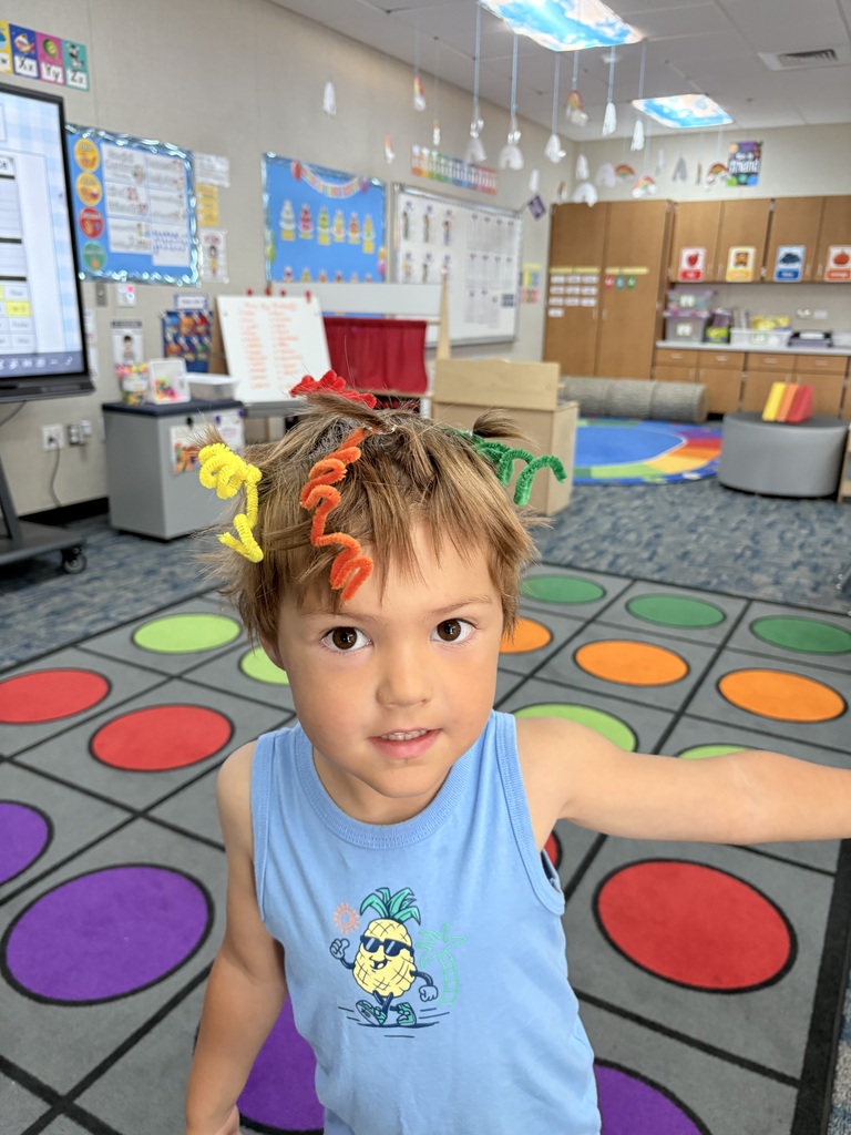 Crazy Hair Day