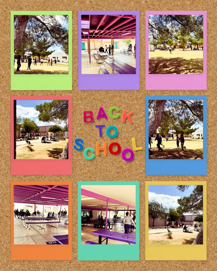 8th lunch 