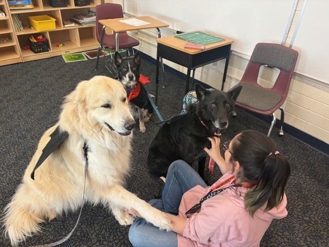 Therapy Dogs