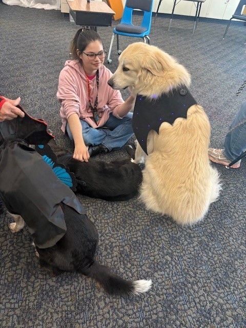 Therapy Dogs