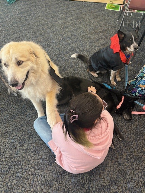 Therapy Dogs