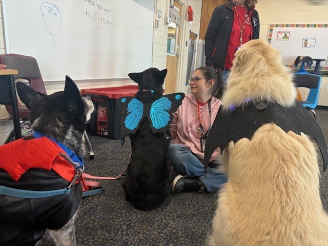 Therapy Dogs