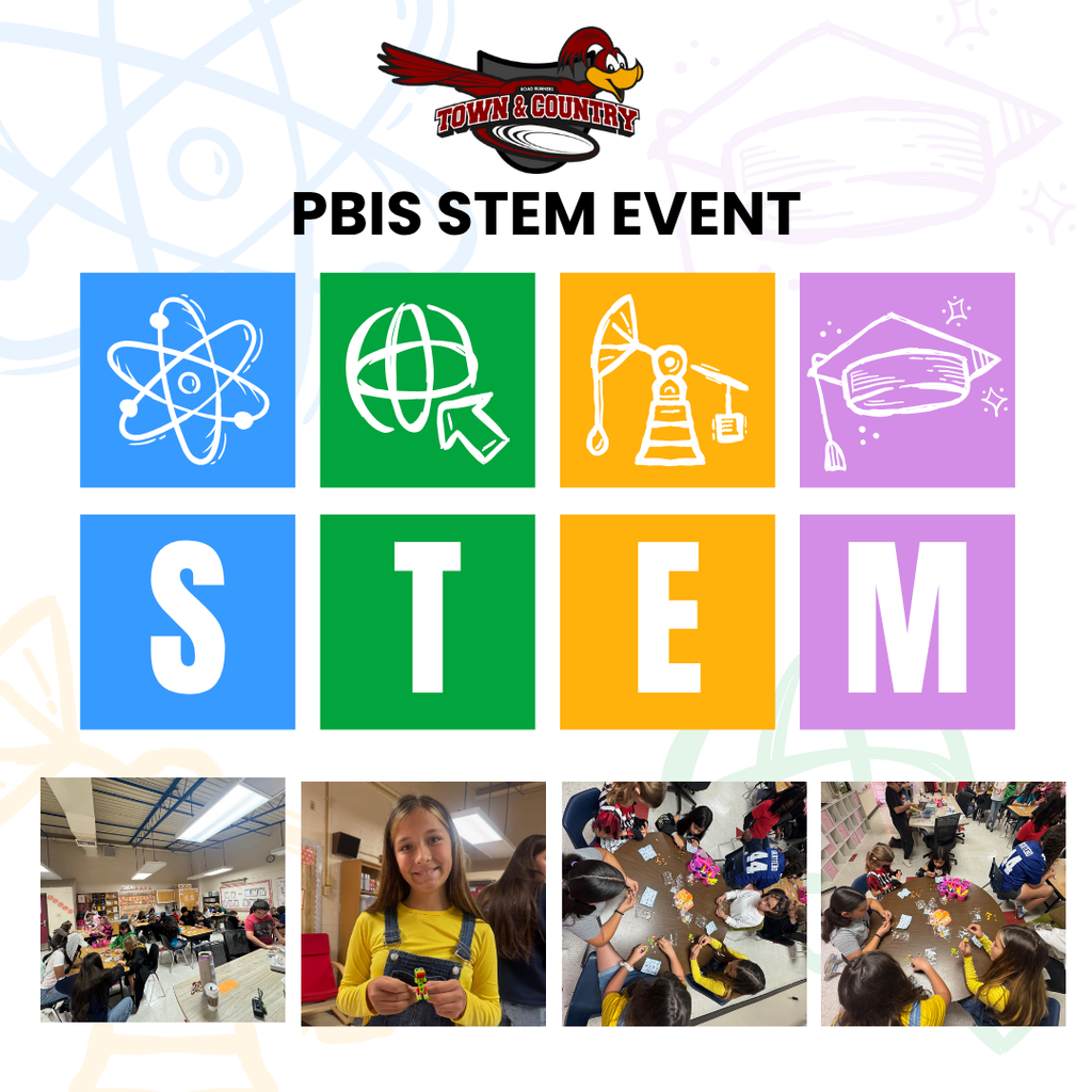 PBIS STEM