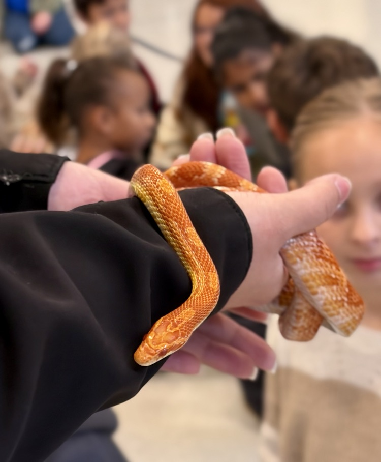 Nancy J. Brua Animal shelter