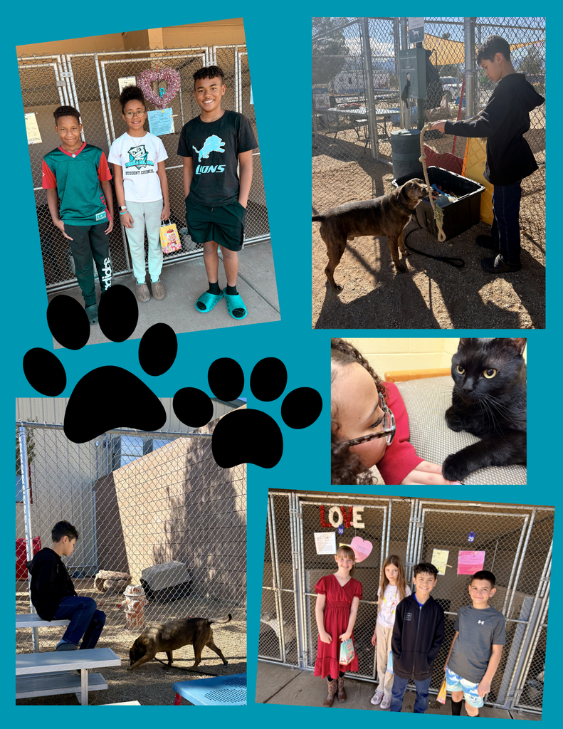 students spending time at the shelter