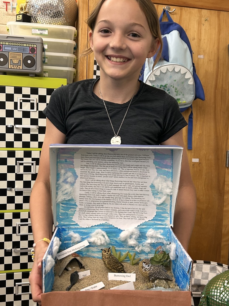 Ms. Cabrera's 5th Grade Class created dioramas for their burrowing owls. 