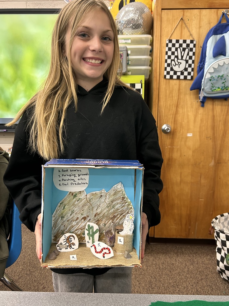 Ms. Cabrera's 5th Grade Class created dioramas for their burrowing owls. 