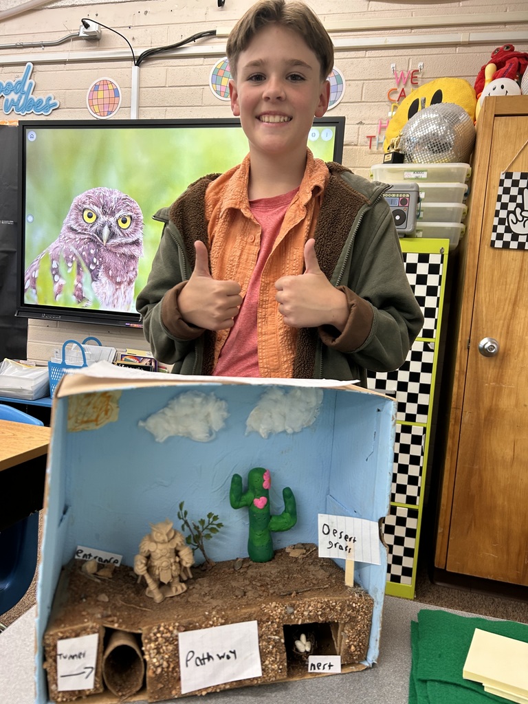 Ms. Cabrera's 5th Grade Class created dioramas for their burrowing owls. 
