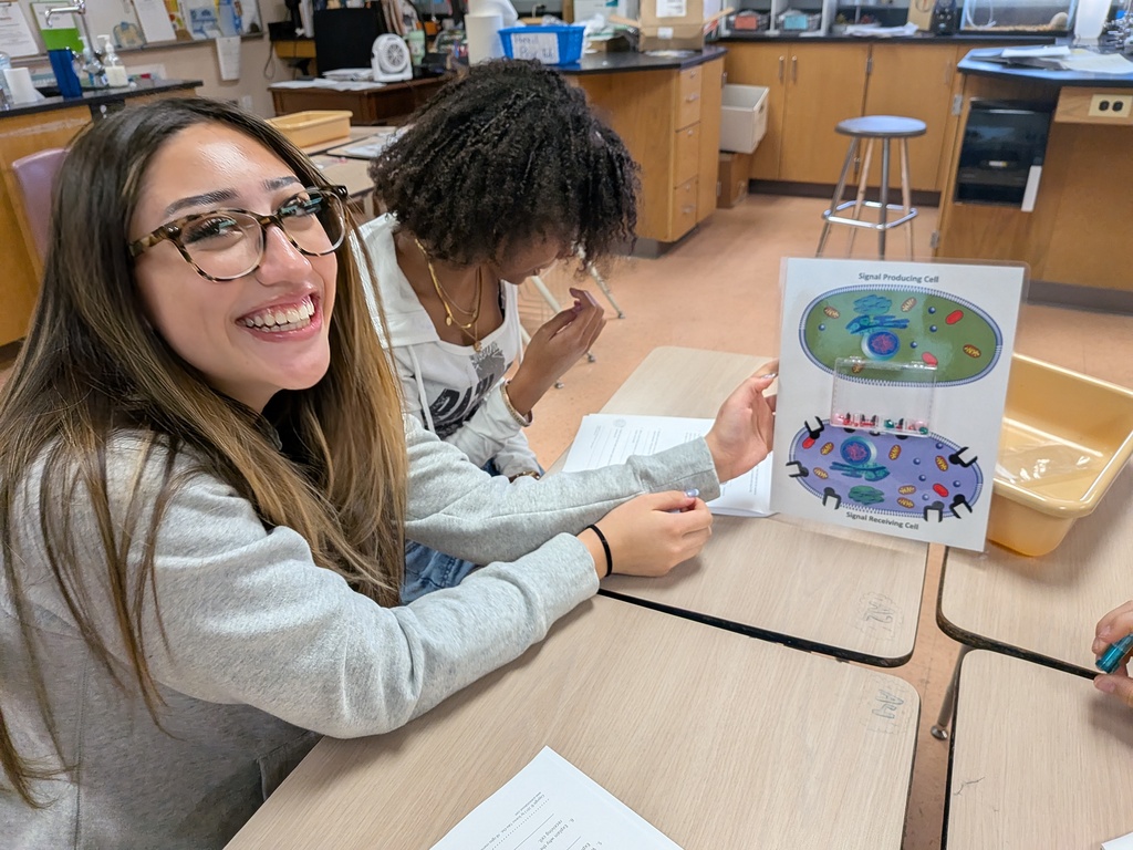 Cell Modeling