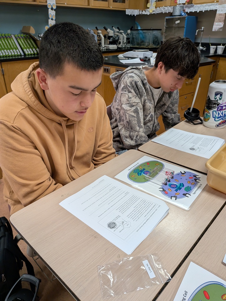 Cell Modeling