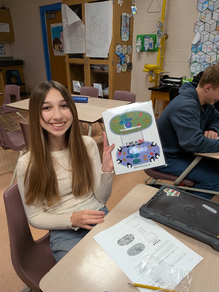 Cell Modeling