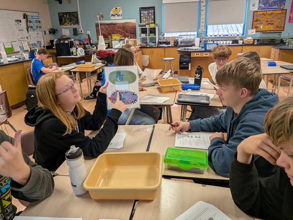 Cell Modeling