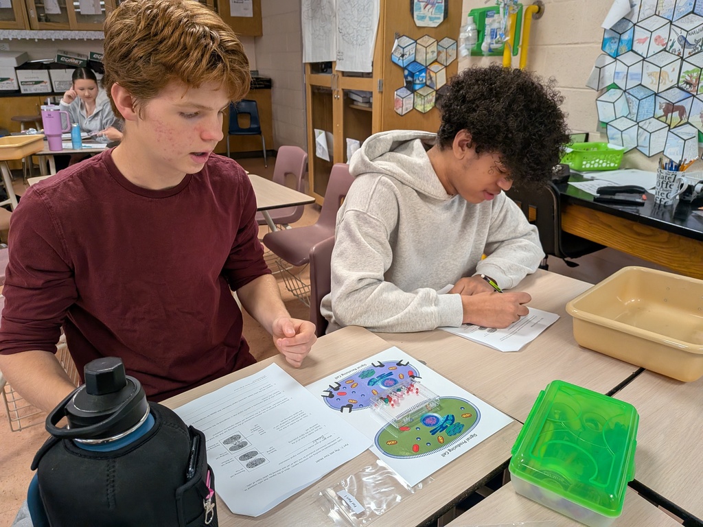 Cell Modeling