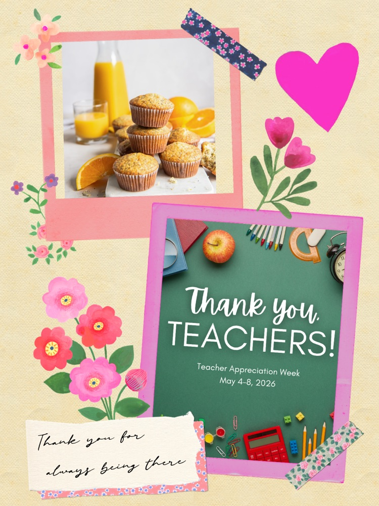 teachers 