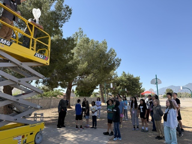 Village Meadows STEAM Egg Drop!