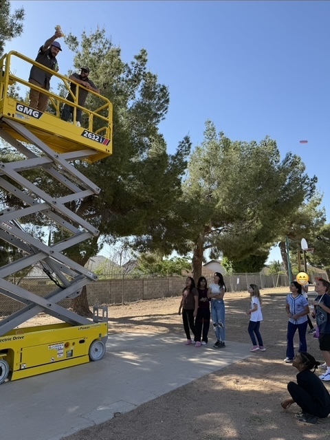 Village Meadows STEAM Egg Drop!
