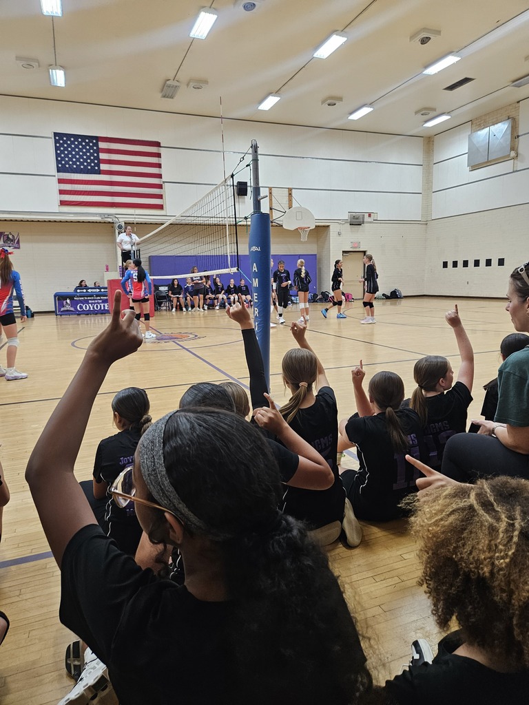 JCMS Q1 Sports