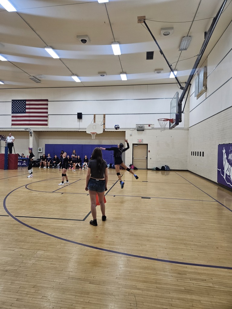 JCMS Q1 Sports