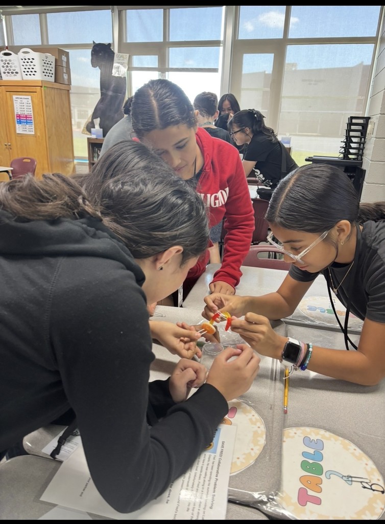 students working together