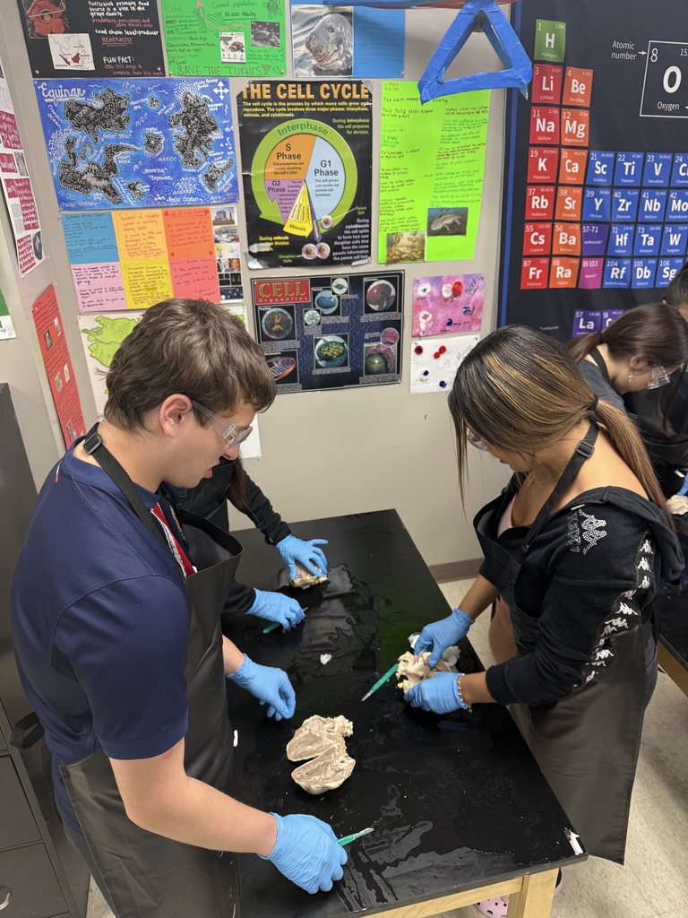 students in science lab