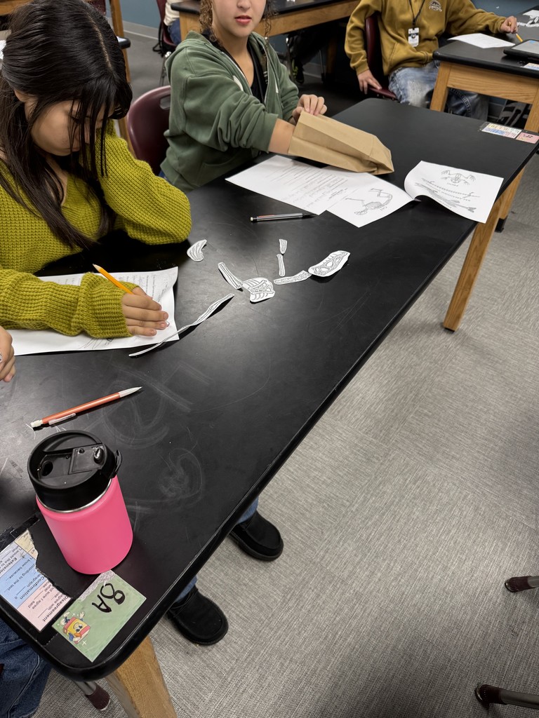 middle school science