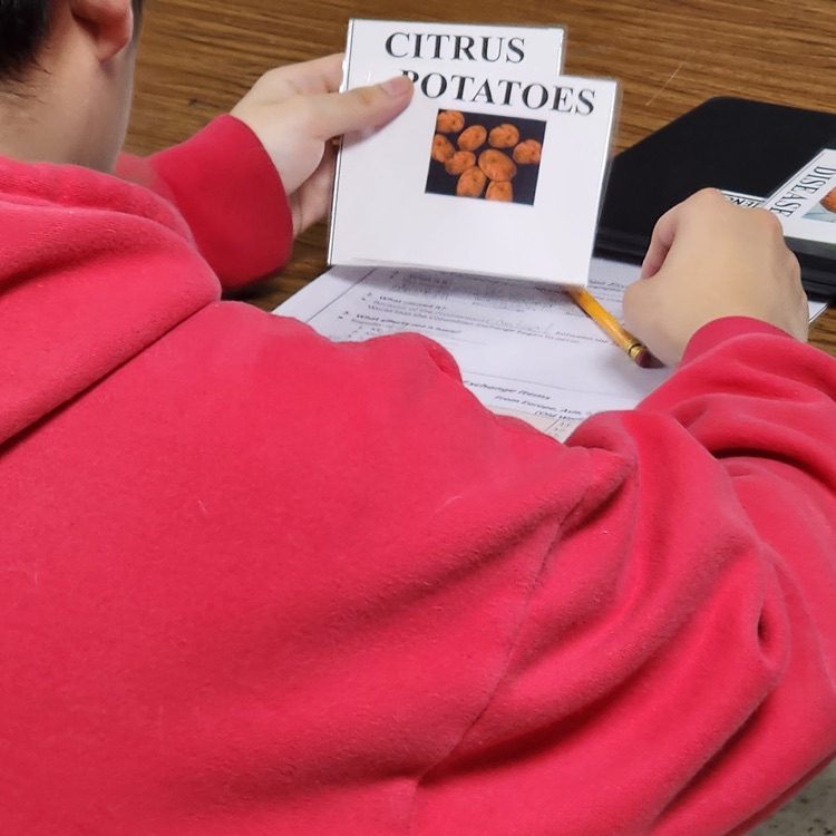 high school students working on a project