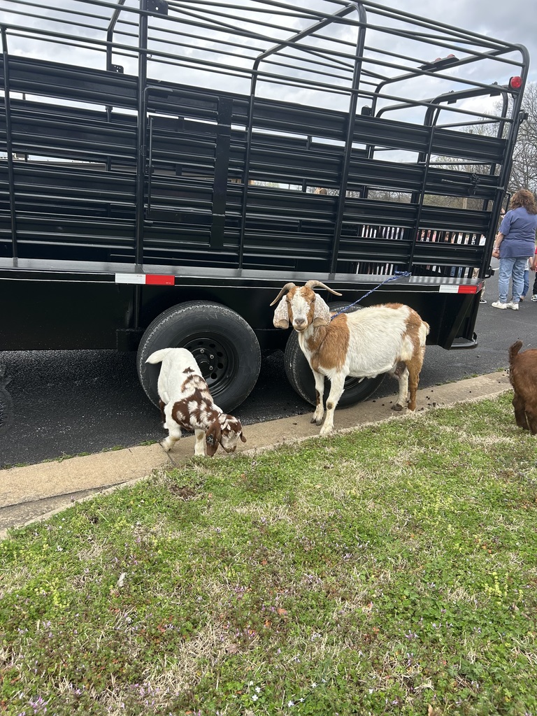 students at career day