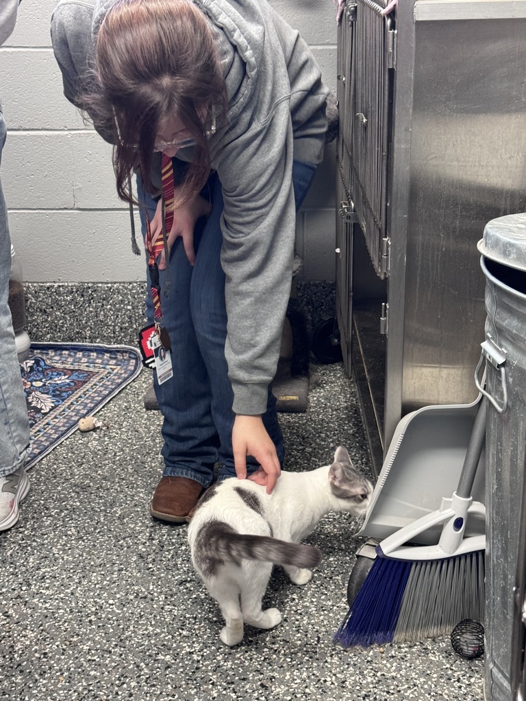 FCCLA student petting a cat