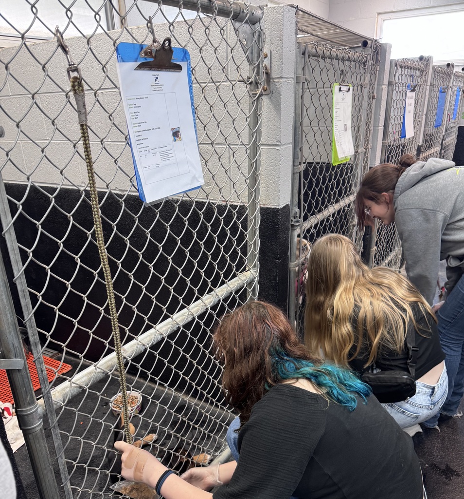 FCCLA students visiting the animal shelter