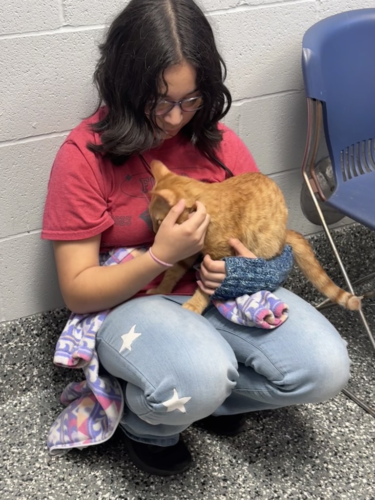 FCCLA student petting a cat