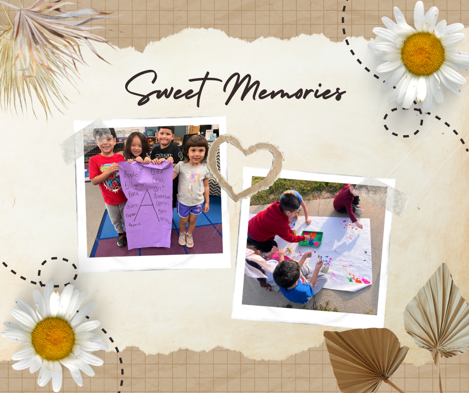 pictures of students learning at school