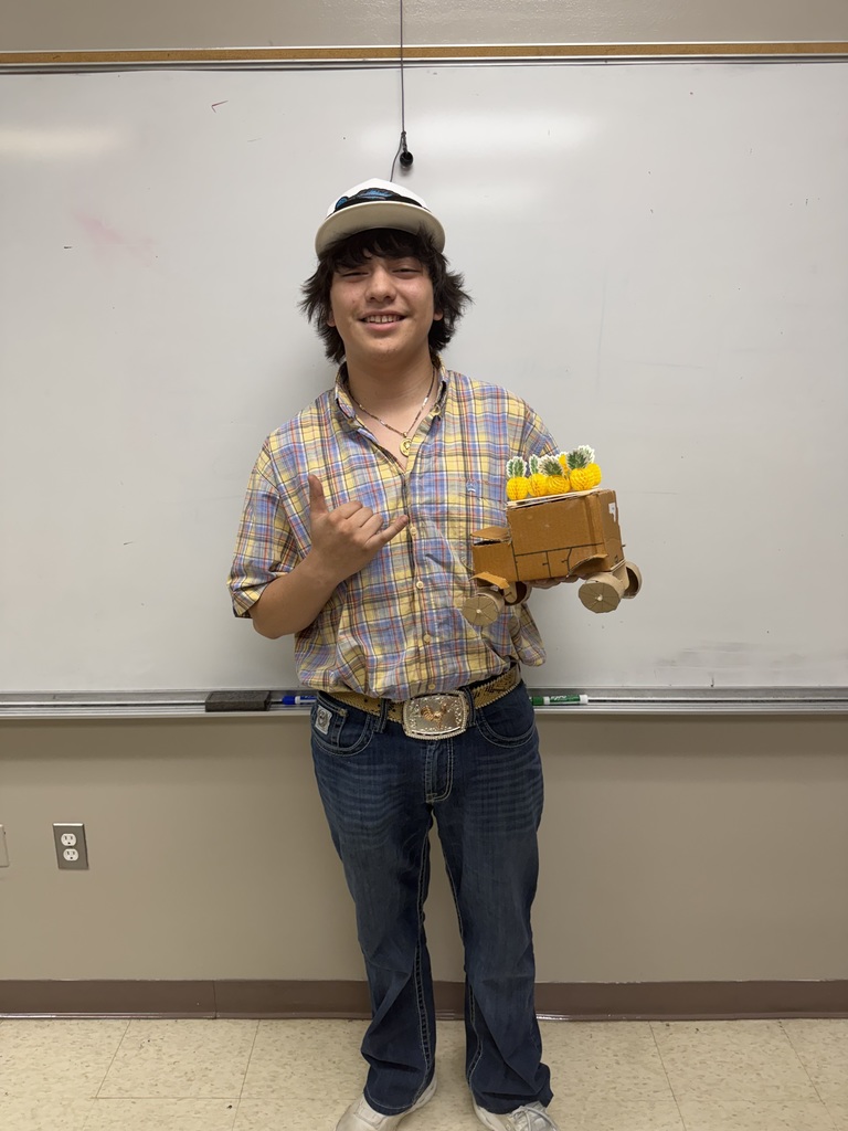 A person in a plaid shirt and hat holds a toy vehicle in front of a whiteboard.