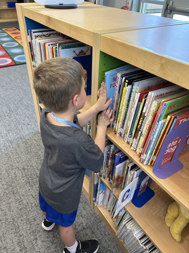 librarian teacher for a day student shelving a book